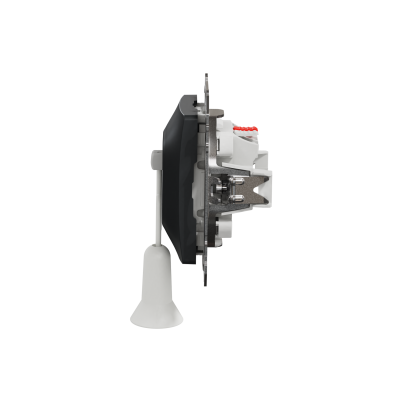 Sedna Design & Elements Przycisk zwierny z cięgnem czarny antracyt SDD114122 SCHNEIDER (SDD114122)